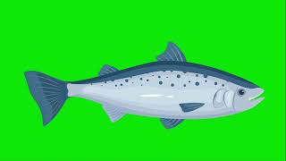Sea Fish Green Screen