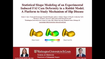 Statistical Shape Modeling of an Experimental Induced FAI Cam Deformity in a Rabbit Model