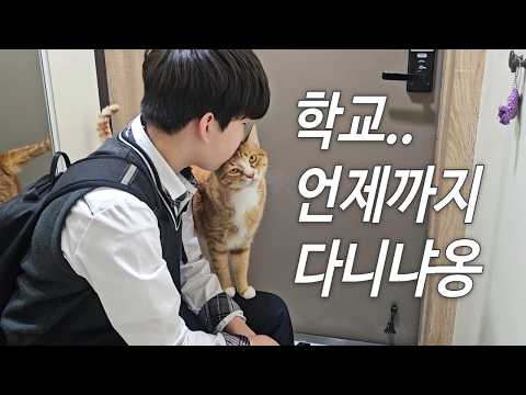 초등학교 졸업했는데...? 끝 아니였냐옹..?