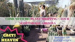 Come with me: Plant shopping + tour  | Scottsdale, Arizona | November  2018 | ILOVEJEWELYN 