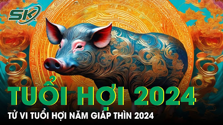 Tuổi hợi lớn năm nay bao nhiêu tuổi năm 2024