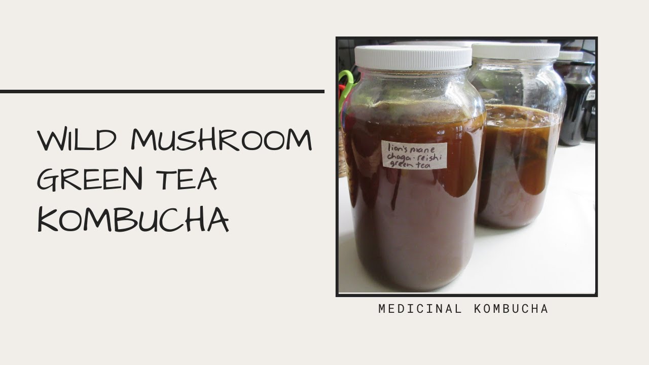 Green Tea Kombucha SCOBY