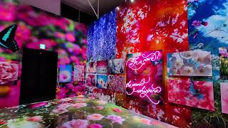 蛭川実花 展示】 ワールドローズガーデン 2026年5月30日 - YouTube