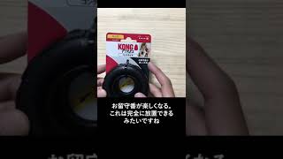 犬おもちゃレビュー　完全放置型のおもちゃです。
