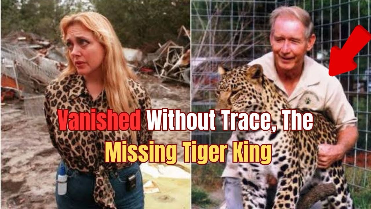 Дон Льюис. Мультимиллионер, исчезнувший на рассвете || Что, скорее всего, произошло?