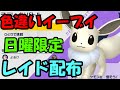 🔴【ポケモンSV】色違いイーブイレイド配布！誰でも参加OK！ Pokemon Scarlet Violet Live Stream【参加型】