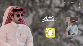 ||حمام الاغصان || اداء فايز الدوسري حصرياً 2023