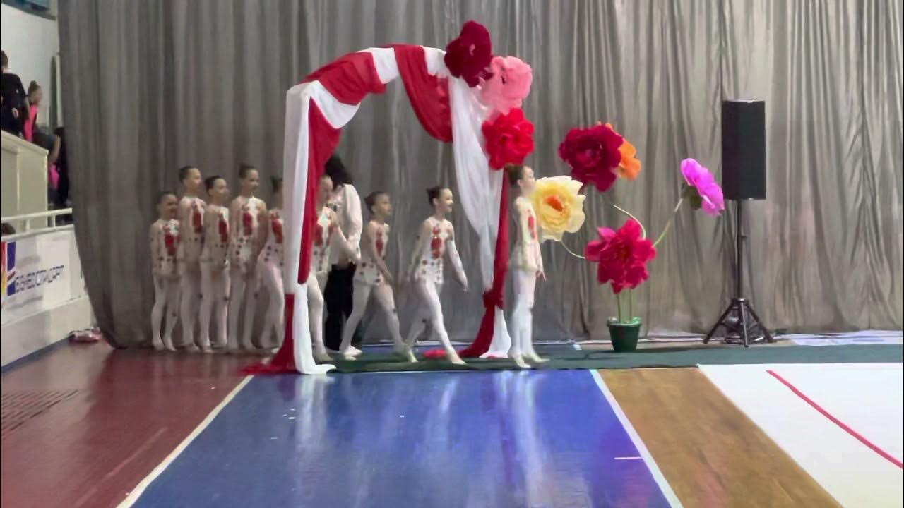 Студия эстетической гимнастики