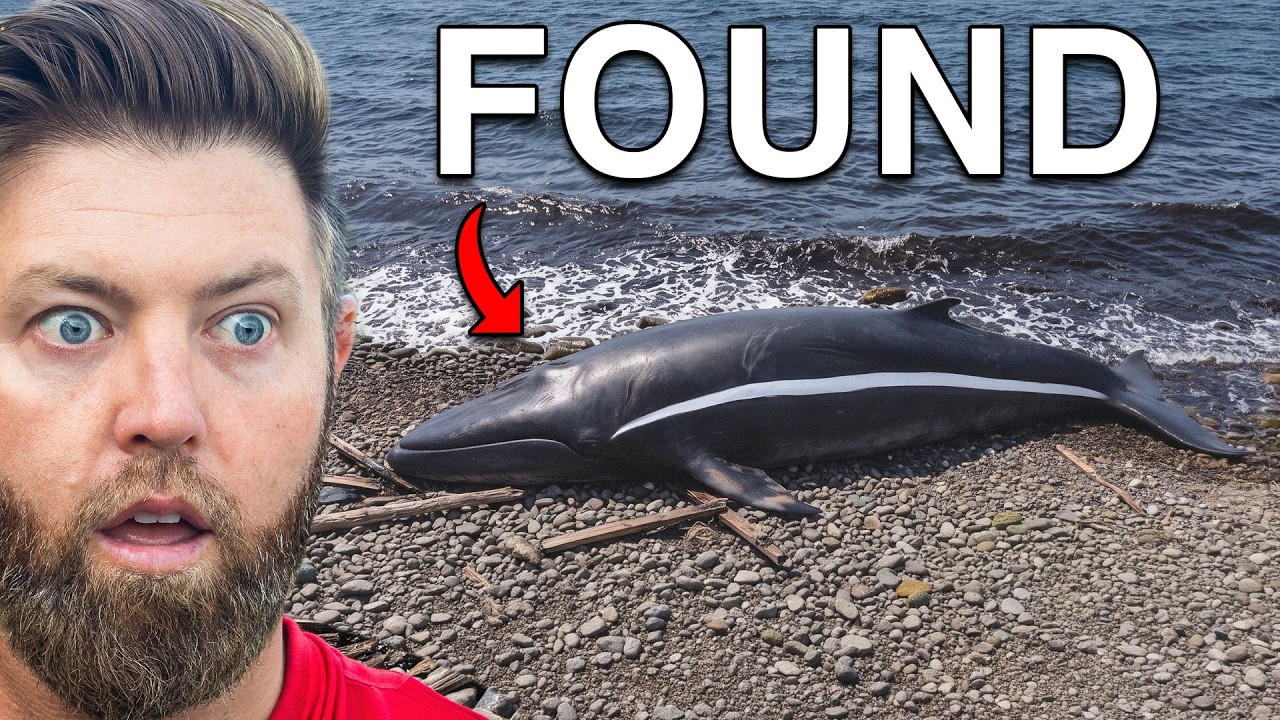 Latest Title & Thumbnail