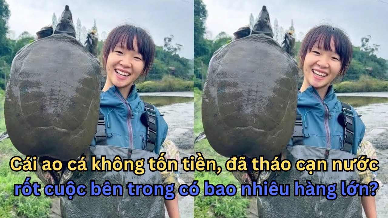MÓN HỜI 0 ĐỒNG: Được Anh Chủ Cho "Mót" Ao Cạn Miễn Phí, Ảo Muội Kéo Lên Ổ Ba Ba Khủng!