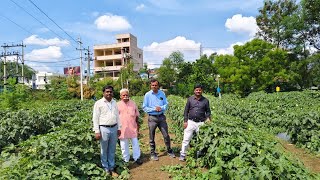 ELP403 COMMERCIAL HORTICULTURE   Batch 202125