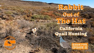 The Second Spot Was LOADED!  Rabbit Out Of The Hat (Quail Hunting)  Season IV Episode III