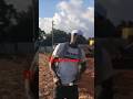 Dj and Farmer #Jamaica #Shorts #music