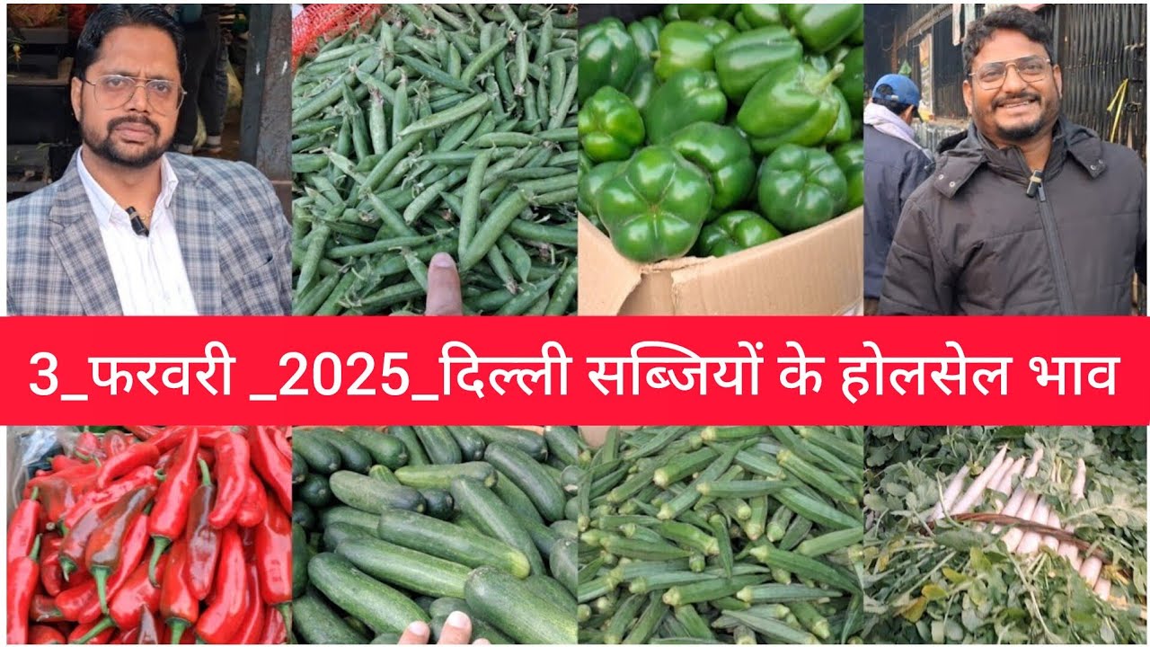 February 3, 2025 दिल्ली सब्जियों के भाव delhi vegetables market delhi fruit market #vegetables