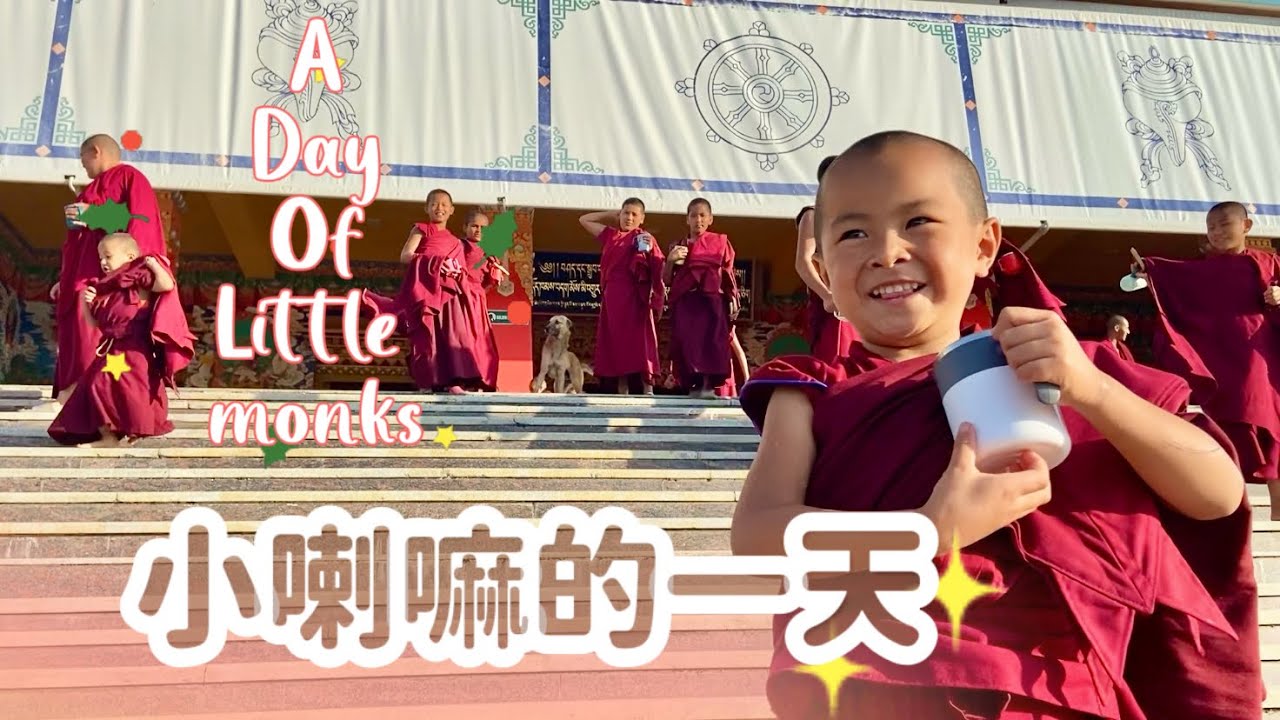 A Day in the Life of Little Monks at Tashi Lhunpo Monastery.| 札什倫布寺 小喇嘛的一天