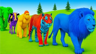 Download Lagu Long Slide Game With Elephant Gorilla Buffalo Hippopotamus Tiger - 3d Animal Game - Funny 3d Animals MP3