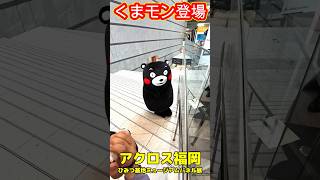 【ショート動画】くまモン登場Ⅱ~ひみつ基地ミュージアムパネル展(アクロス福岡) #くまモン