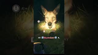 Top 10 Hardest Diamonds To Find In Call Of The Wild 2025