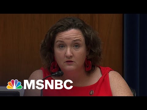 Rep. Katie Porter Crushes An Ill-Prepared CEO In Hearing | MSNBC