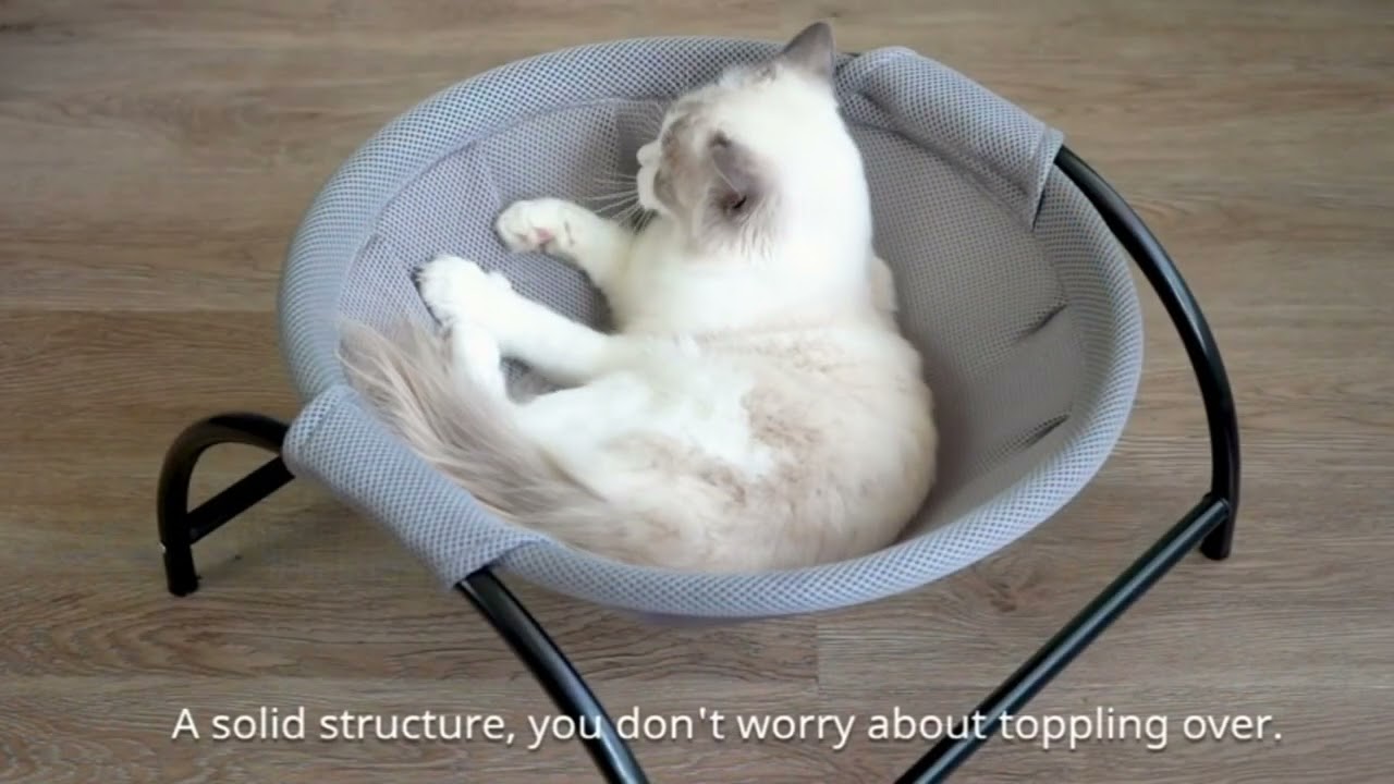 U meni xafa qildi va meni sikdi