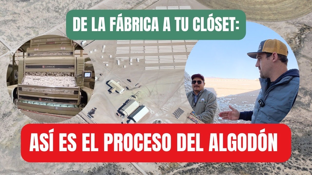 Qué pasa con el algodón después de la cosecha? 😱 | Tour por la planta! (Cotton Gin)