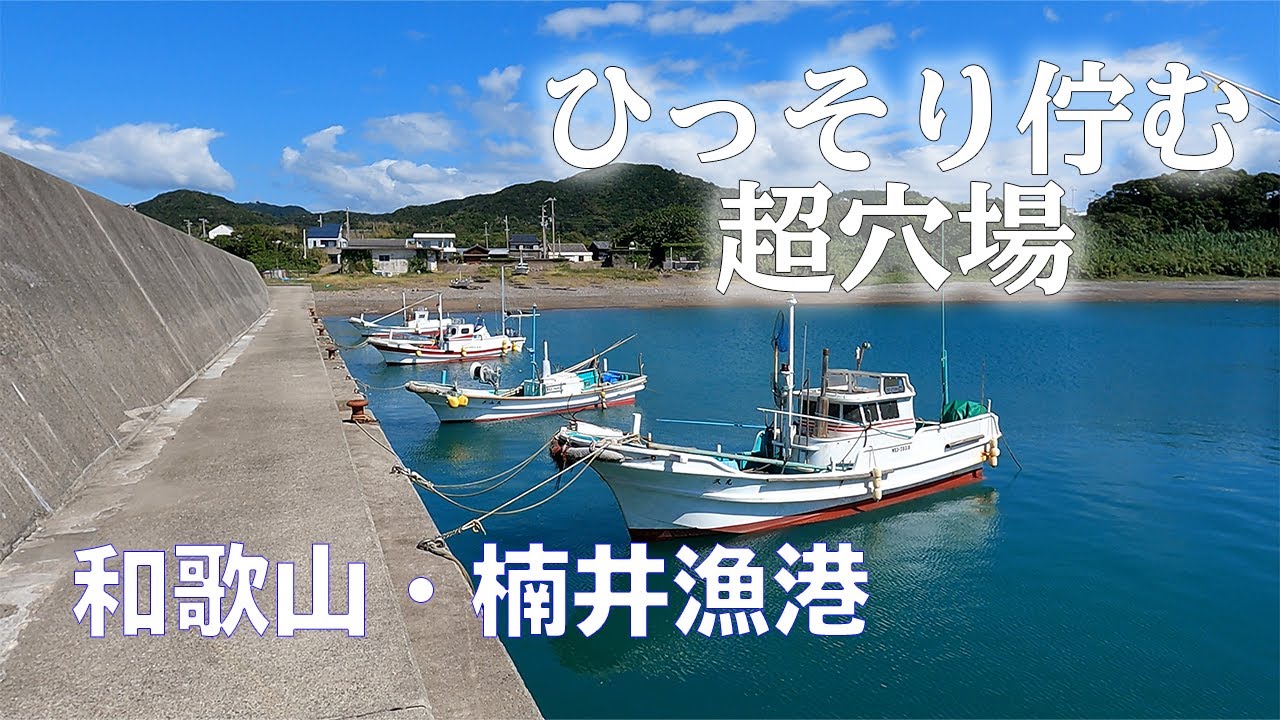 釣り場動画 14 和歌山 中紀の脇道に佇む楠井漁港は超以外なアオリイカポイント エギング サビキ ヤエン Youtube