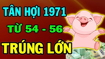 VẬN MỆNH Tuổi TÂN HỢI 1971 Số Hưởng ĂN ĐẬM LỘC TRỜI Phát Tài Giàu Sang CẢ LÀNG GHEN TỴ Từ 54-56