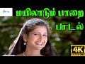 Mayilaadum Paarai  ||மயிலாடும் பாறை || Chithra ||Love  H D Song