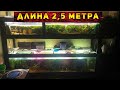 Эвакуация очередного АКВАРИУМА! Харьков 2022