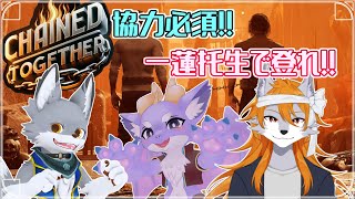 【Chained Together】鎖より強い絆で上を目指せ！！#3【ケモノVtuber】