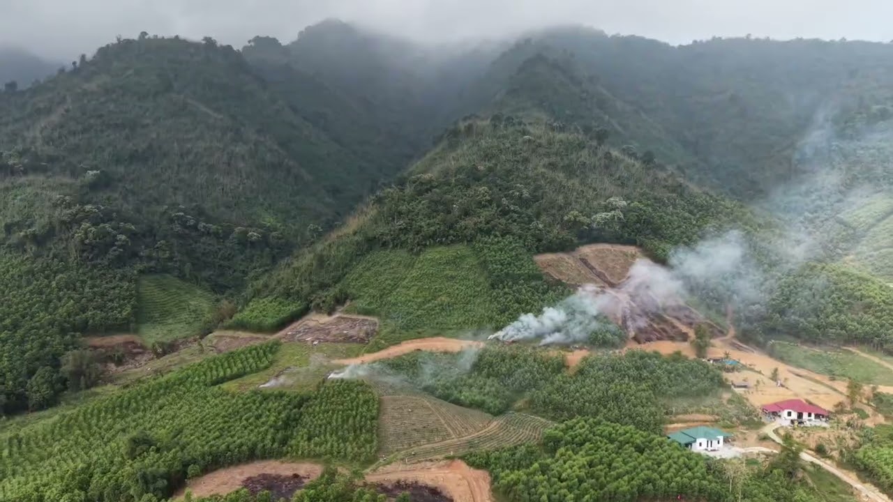 Chuẩn bị làm đất trồng cây dược liệu