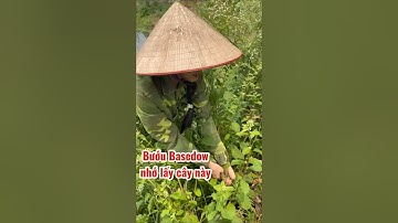 Tiêu u tuyến giáp . Quỳnh Hương thảo dược ĐT: 0969895015