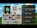 HO TROVATO TUTTI Gli ITEM Di Minecraft