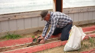 King Family Farms prepping for another season of Gardeners' Market in Billings