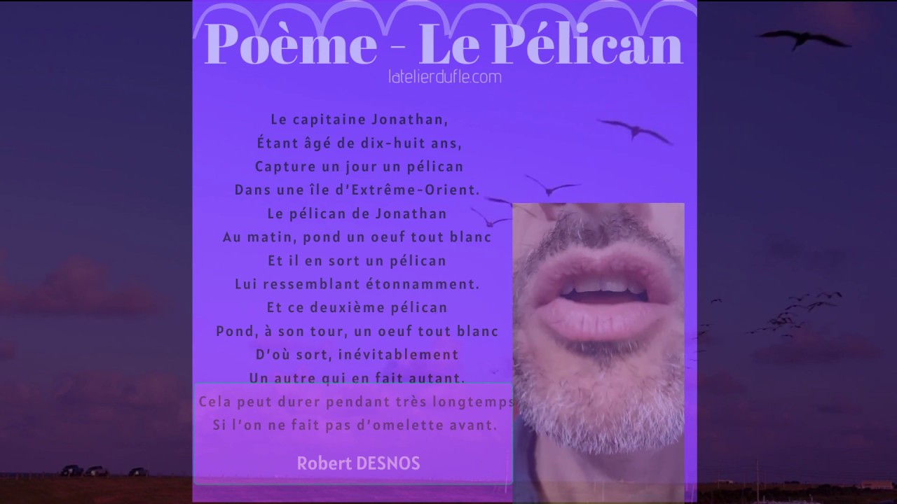 Le pélican Poème de Robert Desnos - YouTube