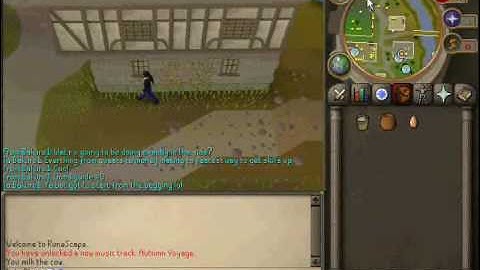 Lets play Runescape part 1