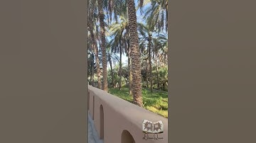 "سورة النبأ تفتتح بتساؤل مهيب:"عمّ يتساءلون؟"تبدأ الآيات بإيقاظ العقل للتفكر في أعظم خبر، خبر البعث