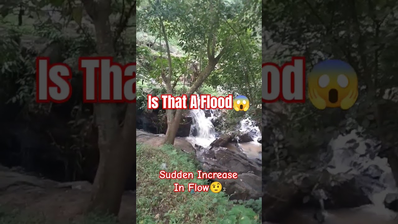 WARNING 🚩 😱Is That A Flood ?? 