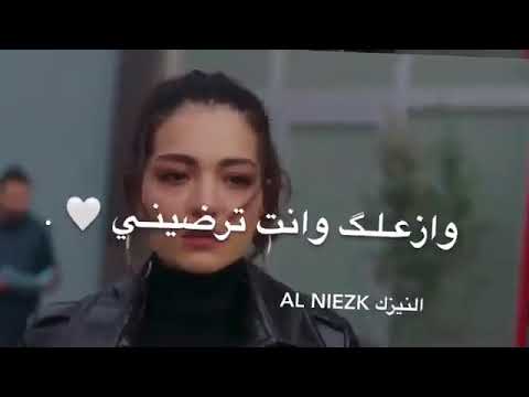 شيله غريب المخلص بدون حقوق زعلان مني وانا ابغا رضاك
