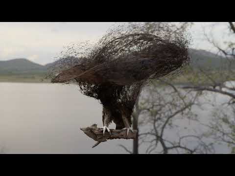 Point Cloud Morph - Blender 3.3