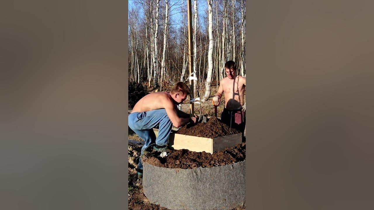 Как посадить плодовые деревья если близко вода