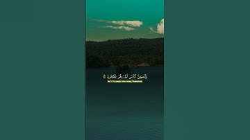 آيات بينات من الذكر الحكيم🤍🤍🤍#كرومات_قرآن #المصحف