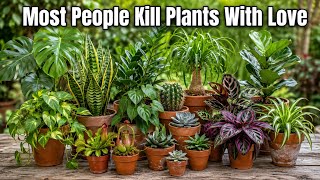 6 Mistakes That Are Secretly Killing Your Plant