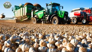 28.1 Million Tons Of Garlic Are Harvested And Processed This Way Agriculture Technology