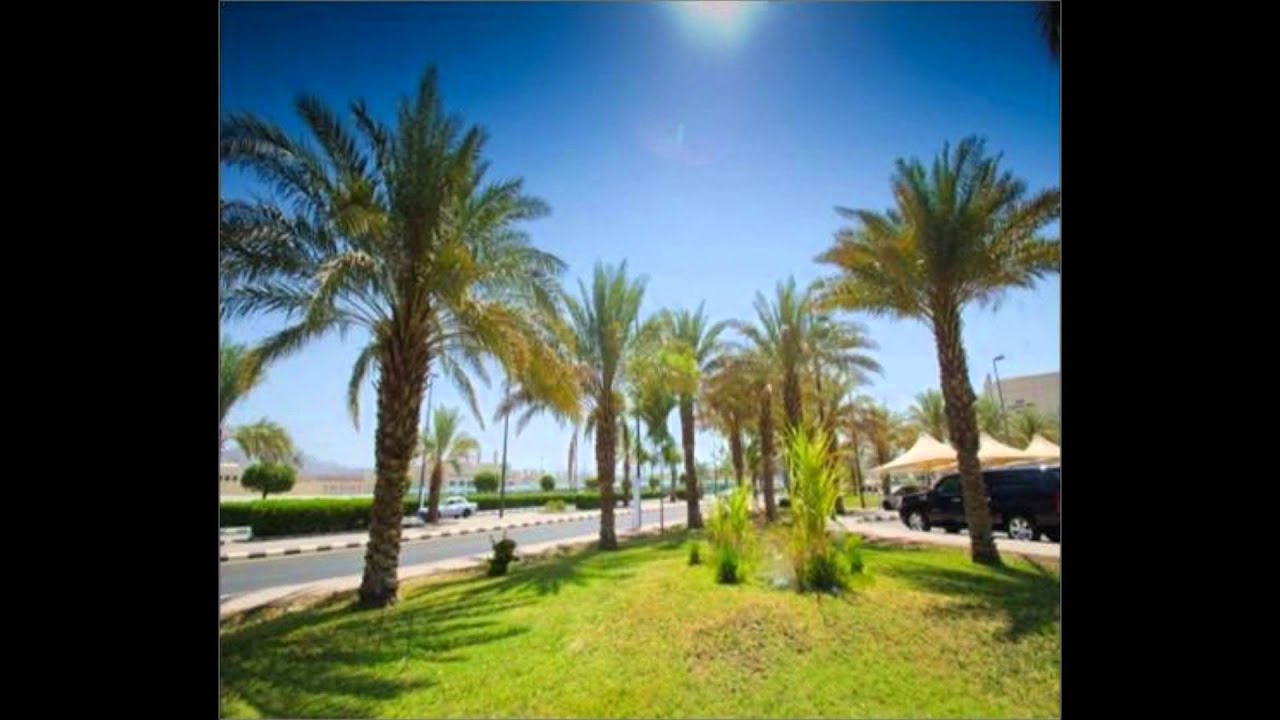 فلم كلية الدراسات القضائية و الأنظمة