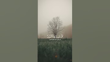 سورة العنكبوت | اسلام صبحي