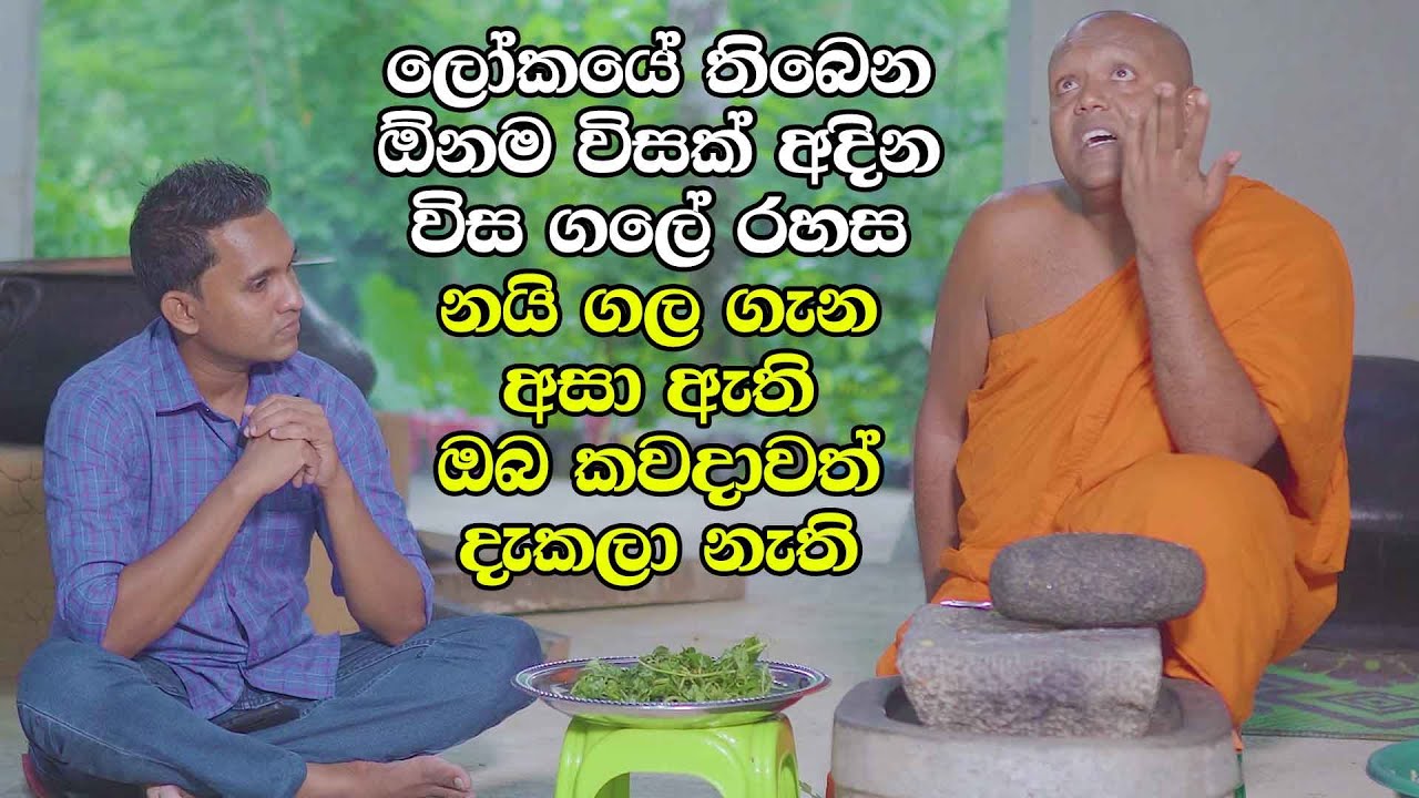 ලෝකයේ තිබෙන ඕනම විසක් අදින විස ගලේ රහස | නයි ගල ගැන අසා ඇති - ඔබ කවදාවත් දැකලා නැති