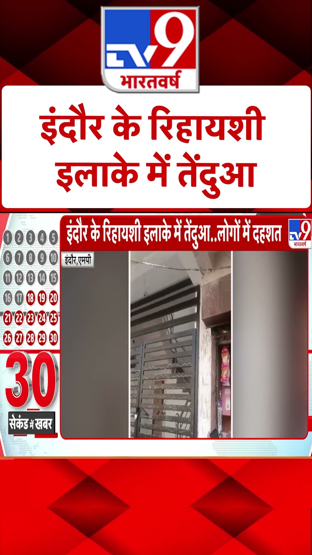 Indore News: इंदौर के रिहायशी इलाके में तेंदुआ | #ytshorts
