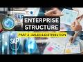 SAP SD Enterprise/Organizational Structure Explained: Sales Org, Distribution Channel & Sales Areas