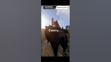 #rustgame #раст #rust # rustmeme #растмем #раст #растигра #moltenrust  #раст
